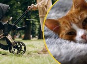 Коти можуть позбавити життя маленької дитини