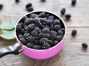 Что приготовить из шелковицы: 3 рецепта, которые вас порадуют