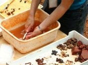 В Эфиопии нашли инструмент, которому 1,4 млн лет (Фото)