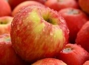 Чому потрібно їсти яблуко кожного дня