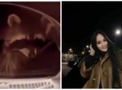 Засунула в стиралку и включила: в Ивано-Франковске студентка жестоко поиздевалась над енотом (видео)