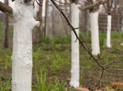 Обов’язкова процедура у саду