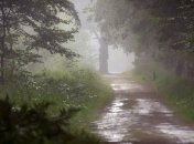 Погода в Украине на сегодня: север и восток накроют дожди