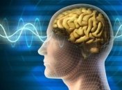 Ученые напечатали тестовую модель мозга на принтере