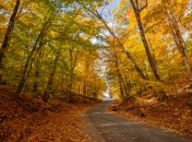 Яке сьогодні свято — День святої Параскеви