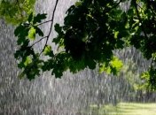 Прогноз погоды на 31 мая: дожди, грозы и незначительное потепление