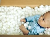 Численность таджиков достигла 8 миллионов