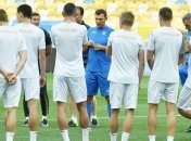 Сборная Украины проведет тренировку на искусственном поле