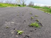 На недавно отремонтированной дороге на Днепропетровщине густо проросла трава: фото обсуждают в сети