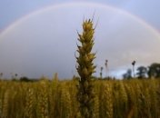 Гидрометцентр прогнозирует улучшение погодных условий для АПК