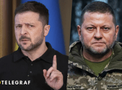Володимир Зеленський, Валерій Залужний