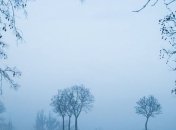 Прогноз погоды 4 января: В Украину идут дожди и туманы