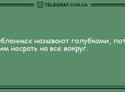 Пускай улыбка не сходит с лица: подборка смешных анекдотов на вечер