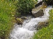 Приметы и обряды на 21 апреля - День Вадима Ключника