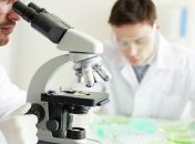 Физики представили теорию распространение в воздухе феромонов