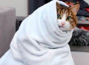 Морози подекуди будуть як вдень, так і вночі