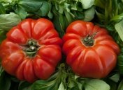 Вырастите много крупных и сочных плодов