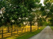 2 сентября. Приметы дня