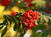 9 сентября - праздник, что категорически запрещено делать, главные приметы