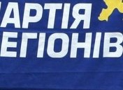 ПР: "УДАР" пытается дискредитировать власть на выборах в Василькове