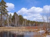 Погода на неделю: холодный северный антициклон надвигается на Украину