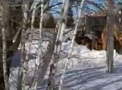 У россиян свой Суэцкий канал: загруженная луком фура перегородила трассу в Подмосковье (видео)