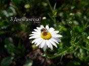 Разобрались, кого поздравляем с Днем ангела 11 июня