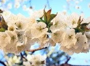 Прогноз погоды на апрель в Украине