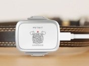 Xiaomi презентовала PetBit для отслеживания животных 