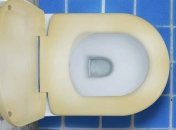 Советы, как сделать сиденье унитаза чистым и блестящим