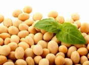 Соя в детском питании