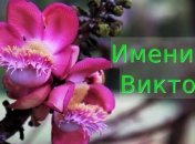 У кого сегодня день ангела: значение имени и трогательные поздравления