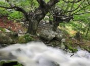 Сказочный и мистический испанский парк Горбеа (Фото) 