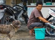 Ведеться розслідування смерті українців у готелі на Балі 