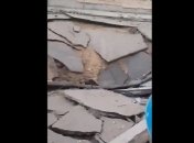 Доброе утро из сектора Газа: в сети показали видео последствий израильского обстрела