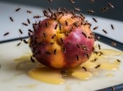 Летом от мушек не отбоя