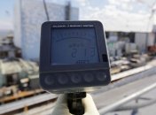 Гринпис: Последствия аварии на "Фукусиме" проявились в мутациях в лесах