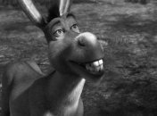 Ослик Перрі жив у Каліфорнії