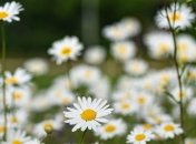 Циклон ушел с Украины: Синоптик рассказала, когда потеплеет