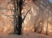 Погода в Украине на сегодня: прогнозируют солнечно-снежный день 