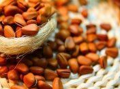 Лікарі назвали горіх, що омолоджує організм