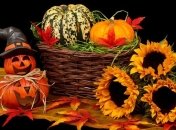 Прикольные поздравления на Хэллоуин в стихах и открытках