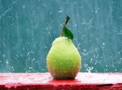 Груша на страже здоровья