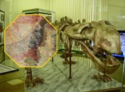 Бушмены видели животное, вымершее сотни миллионов лет назад: наскальный рисунок удивил ученых