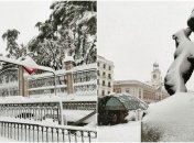 Сильнейший за 50 лет снегопад парализовал Мадрид: яркие фото и видео