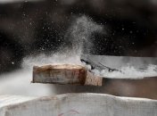 В Польше изъяли крупнейшую за 30 лет партию кокаина