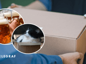 Пиво, кот и доставка посылки