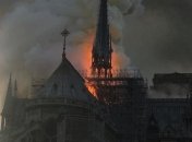 Пчелы, с пасеки на крыше собора Нотр-Дам, выжили после пожара