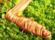 Укрепляем волосы горчицей