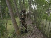 В Индии для вооруженных сил создадут боевых роботов 